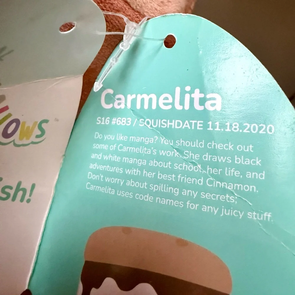 Squishmallows 16” Carmelita Plush S’more Large Plush Squishy Camping Outdoors - Picture 7 of 8